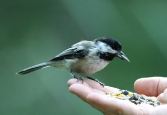 ELJÖHETNÉL HOZZÁM – ALKOTÓI PÁLYÁZAT