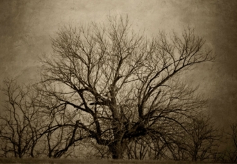 [TÉL MÉG A MÁRCIUS…]