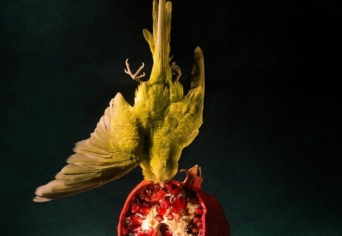 ELRONGYOLT RÉSZLETEK