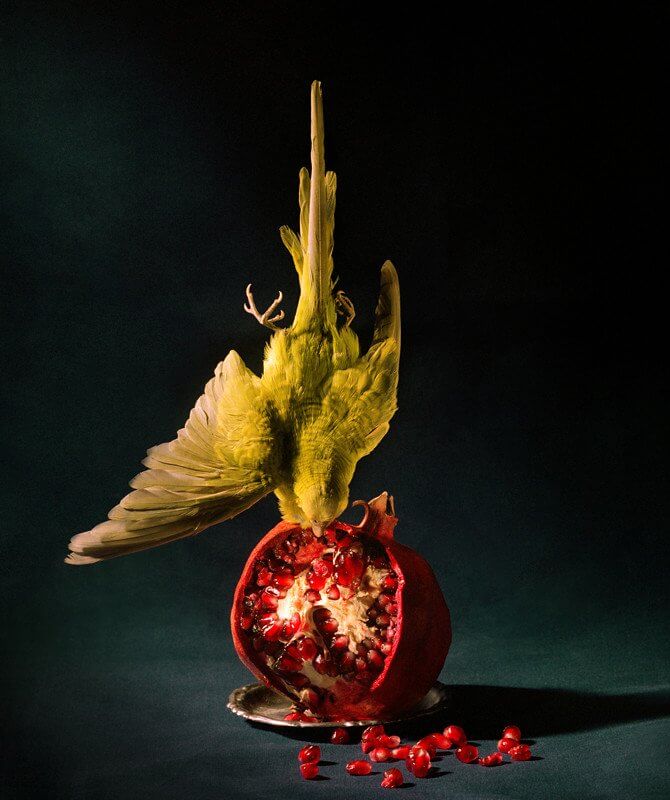 ELRONGYOLT RÉSZLETEK