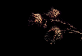 MEDITÁCIÓK AZ IDŐRŐL