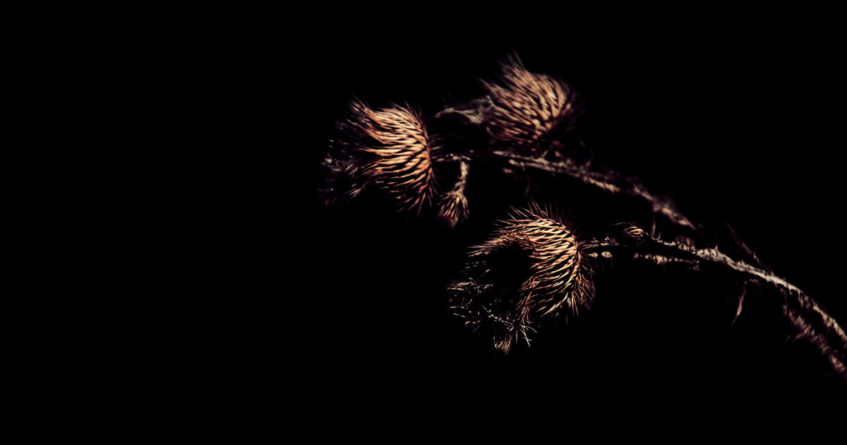 MEDITÁCIÓK AZ IDŐRŐL