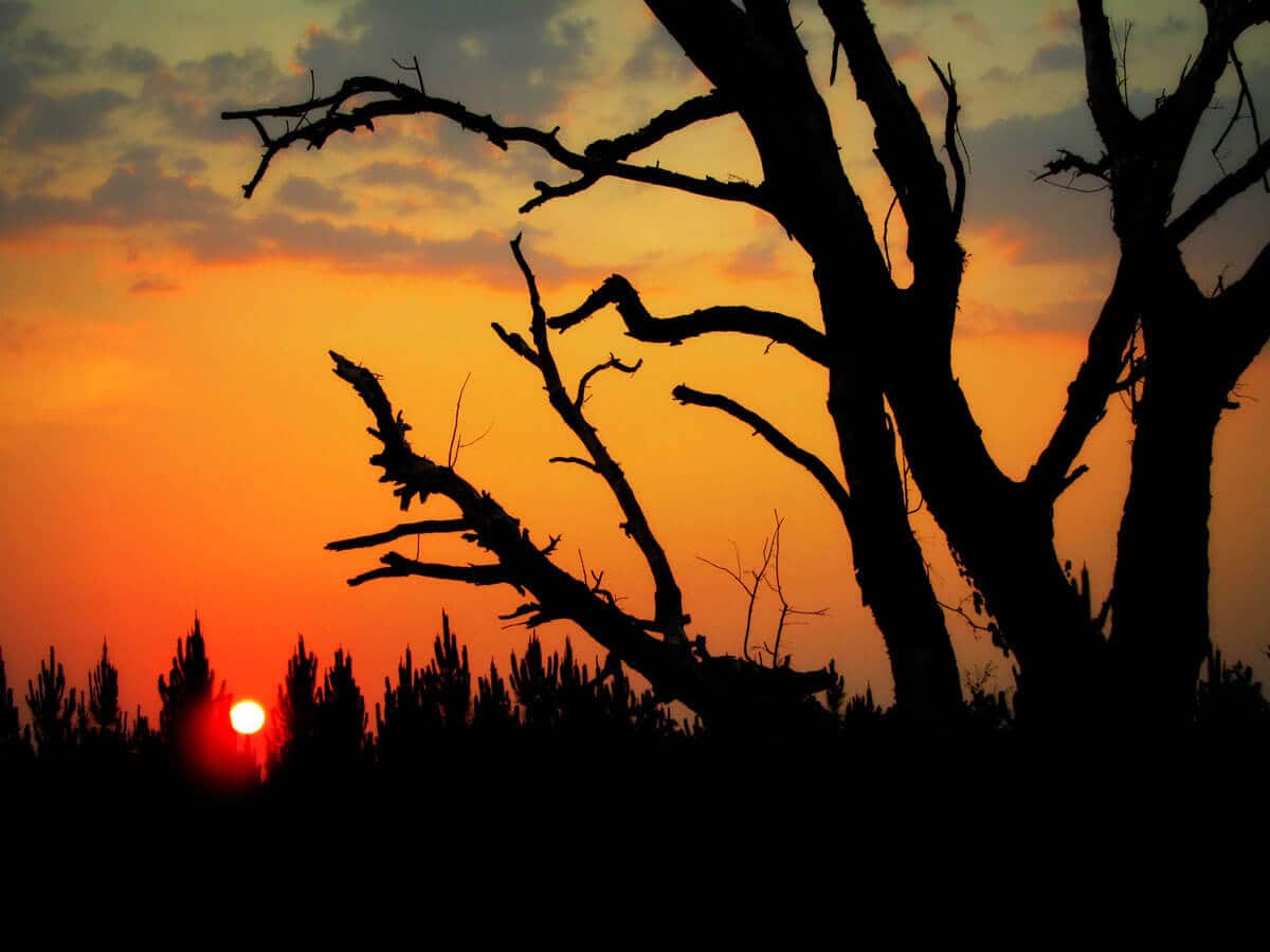 HŰVÖS ÉTELSZAG…