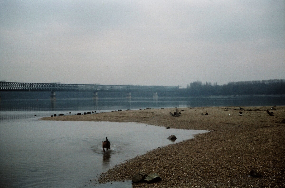 LEVÉL AZ ÓBUDAI-SZIGETRŐL