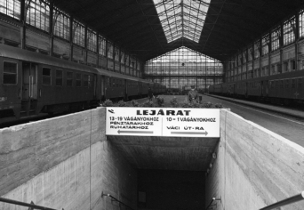 HOGY LEHET A NEVE „KUKI”?