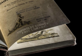 TERMÉSZETESEN, SZABAD