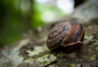 „…HA BELELÁTHATNÁNK…”