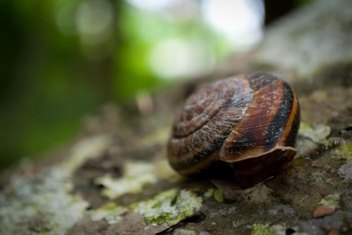 „…HA BELELÁTHATNÁNK…”