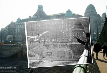 A NYILVÁNOSSÁG TERE JÁRHATATLAN