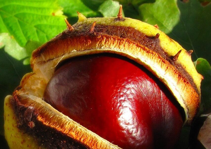 HOL VOLT, HOL NEM…