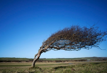 MIKOR MÉG UTÁNA SZÓLNAK EGY KALAPÉRT