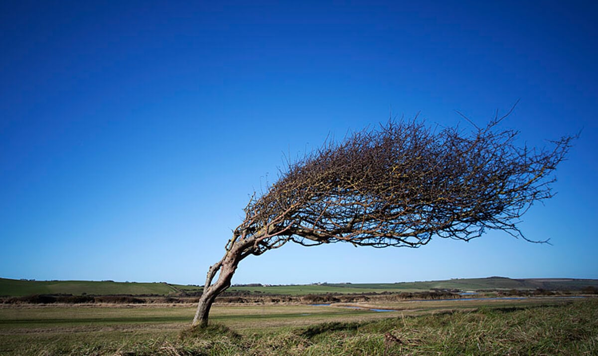 MIKOR MÉG UTÁNA SZÓLNAK EGY KALAPÉRT