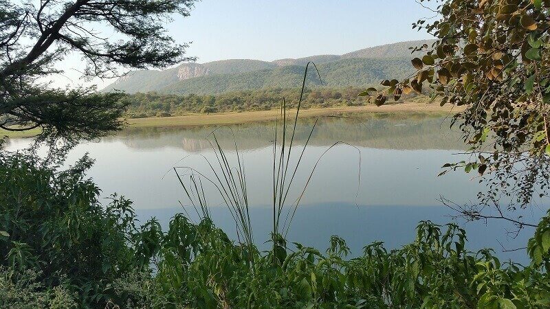 Sariska tigris rezervátum, wikipedia.com 