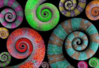 AZ ÚT: EGY ÖKOLÓGIAI VILÁGSZEMLÉLET