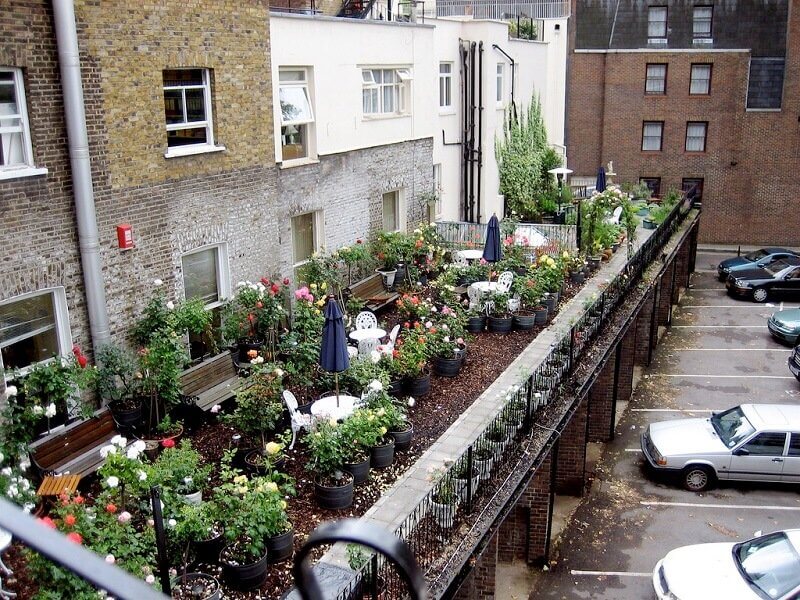 Molly Holzschlag, flickr.com 