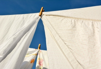 VILAGSZAVAK LEPEDŐKKEL