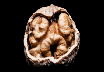 „A KÜLSEJÉT LÁTOM, MEGNÉZEM BELSEJÉT”