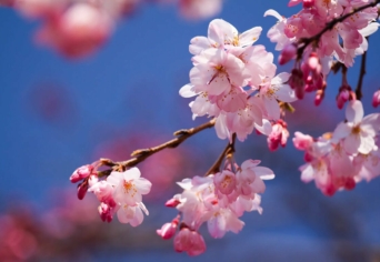 MÁMORT KÍVÁNÓ ÉRZÉKEIDDEL