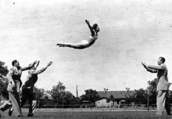 (NON) DATUR SALTUS IN NATURA