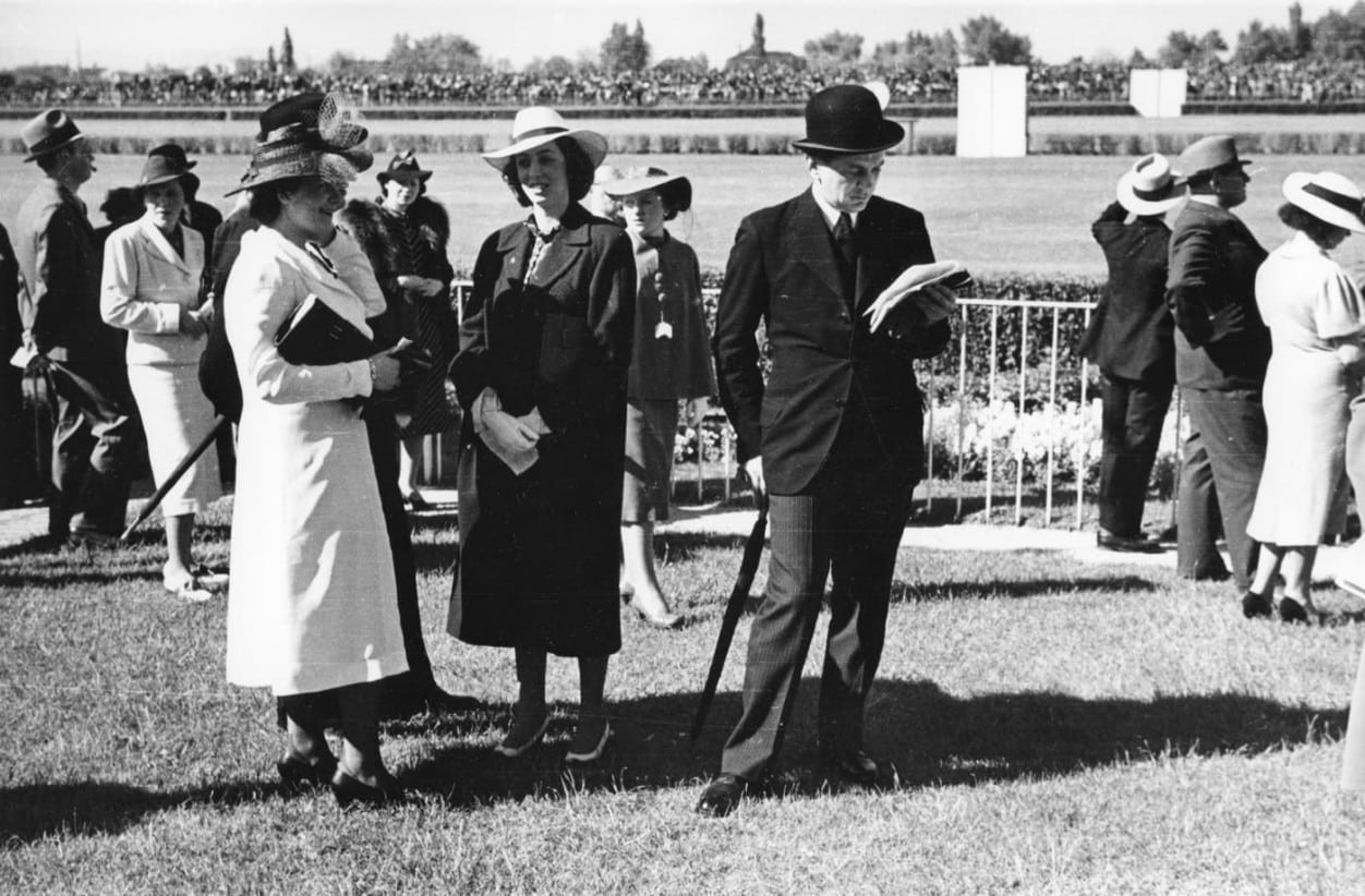 LÓSZEMLÉLŐK / LOVAK TÜKRE