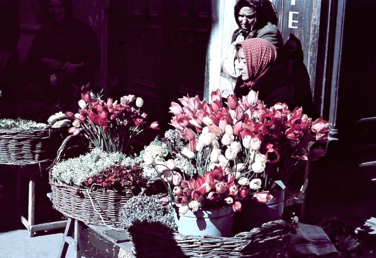 SZINDBÁDDAL A KONYHÁN