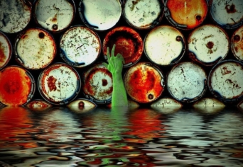 AZ „ÖKOLÓGIAI KULTÚRA” KÖRVONALAI