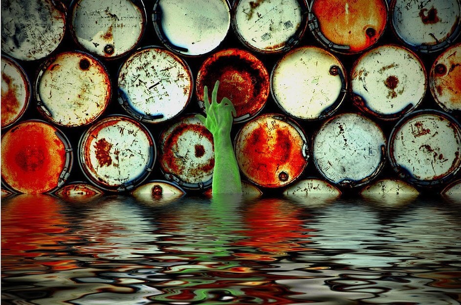 AZ „ÖKOLÓGIAI KULTÚRA” KÖRVONALAI