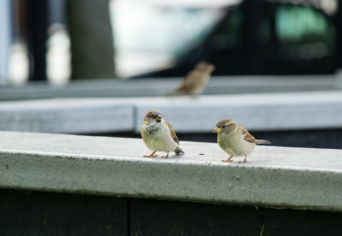 TERMÉSZET – EMBER – CSALÁD