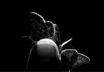 CSAK MÍG VISSZAJÖN