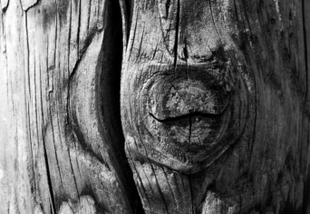 HURRÁ, SZERZŐDÜNK!