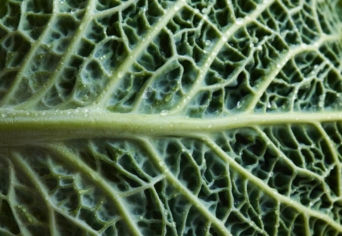 A HEGYEN AHOGY A HÁROM