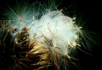 A VÁLTOZTATHATATLAN ÁTVÁLTOZTATÁSA