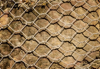 A PSZICHÓZIS NYELVE