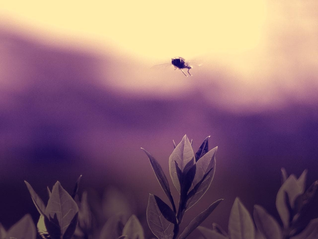 EGY HELYBEN SODRÓDNI