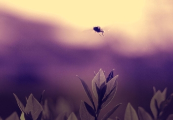 EGY HELYBEN SODRÓDNI