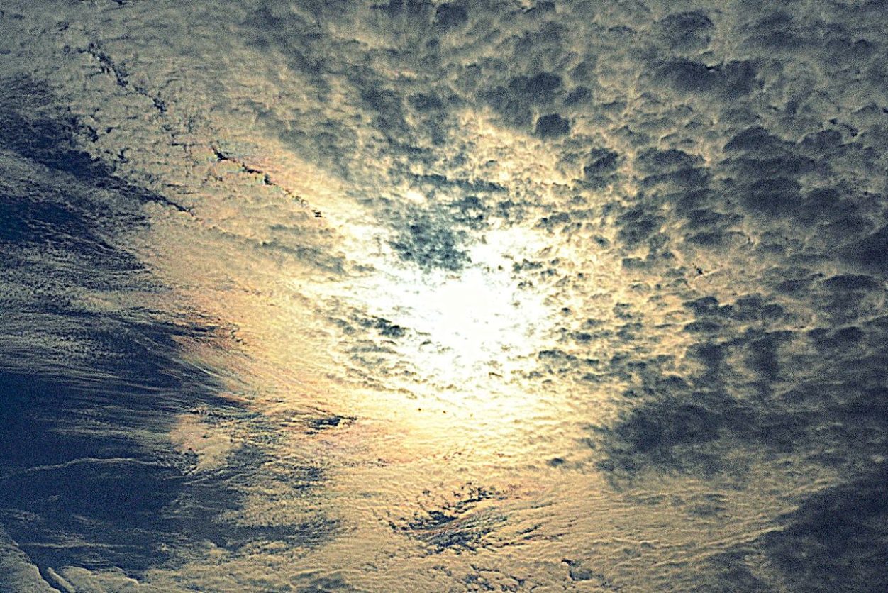 NEM ILLIK KIMONDANOD