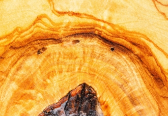 AKARD A VÁLTOZÁST!