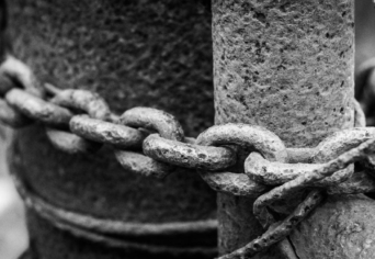 A VÉGTELEN VAD RÉTEKEN