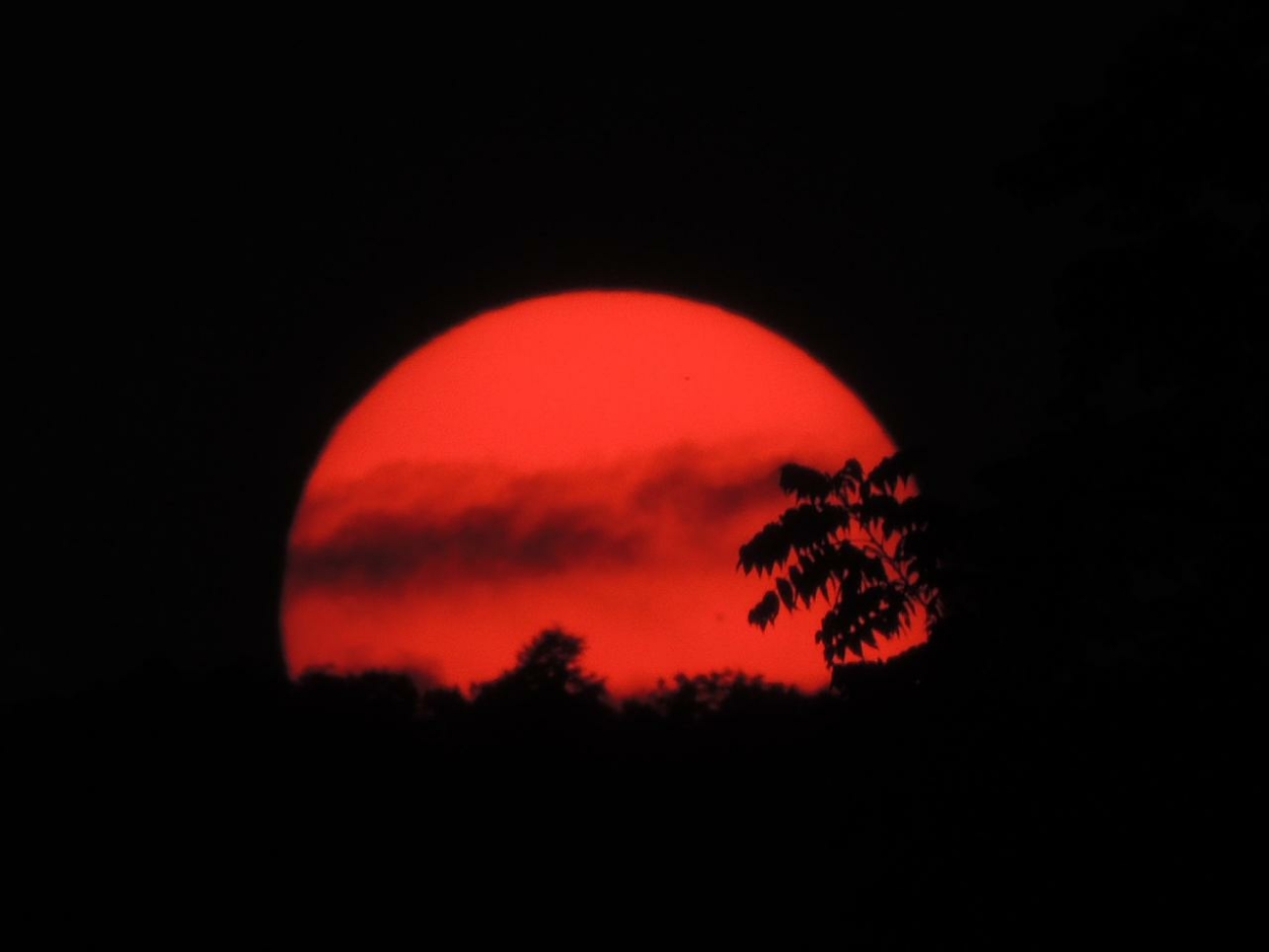 MIKÖZBEN FELJÖN ARMSTRONG LÁBNYOMA