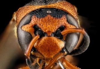 FOLYÓ FELETT PALLÓ