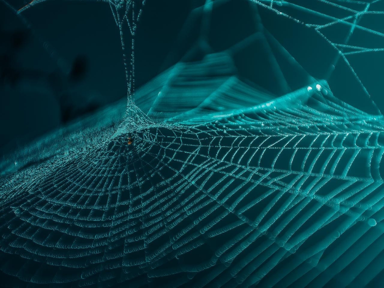 VILÁGÖSSZEFÜGGÉSBEN