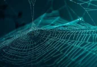 VILÁGÖSSZEFÜGGÉSBEN