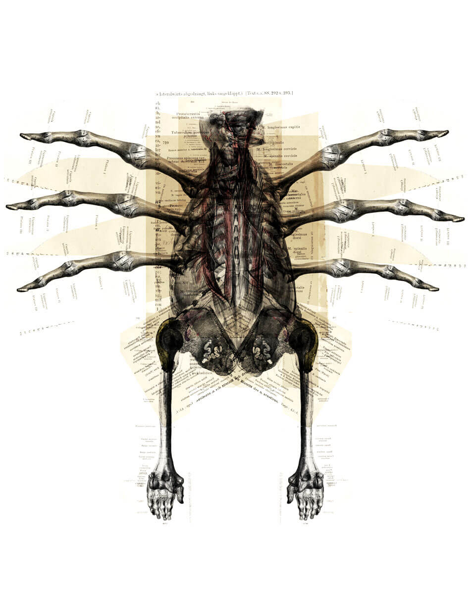 FRANZ KAFKA SÍRJÁBAN