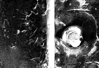 „DE VÉGEZZ, NYELV, NÉMULJ, KESERŰ SZÁJ”