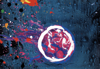 JELENTÉS ÉS ÖNAZONOSSÁG