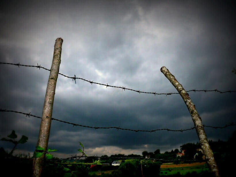 nebojsa mladjenovic, flickr.com