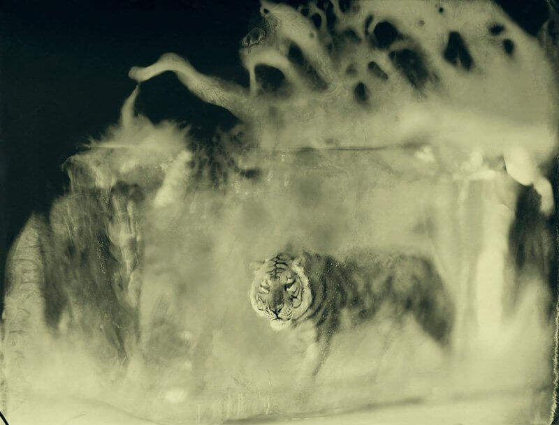 HELYÜK A VILÁGEGYETEMBEN