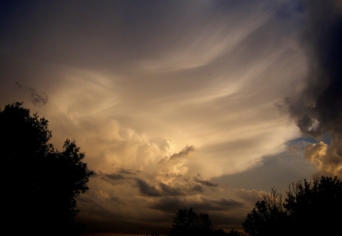 MEGDÖBBENTŐ, HOGY EGY MÁJUSI 