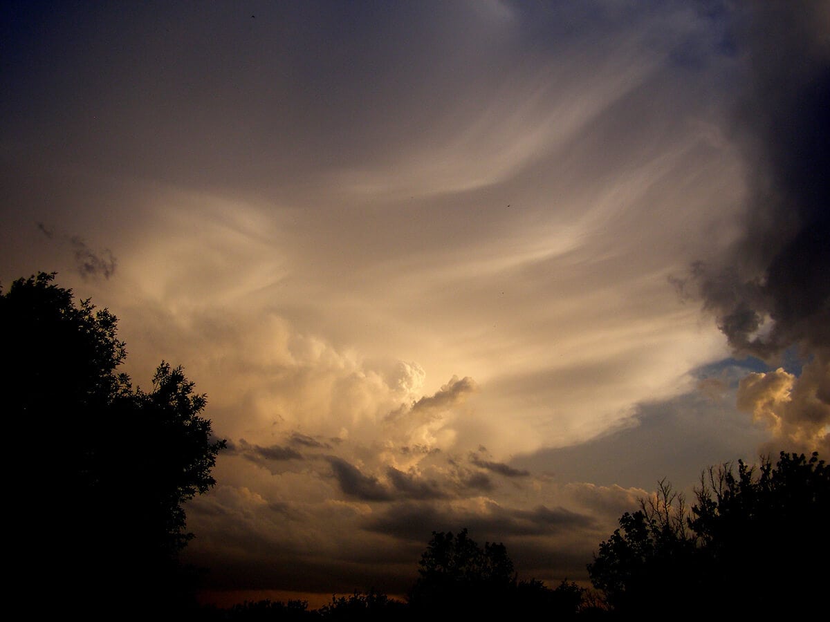 MEGDÖBBENTŐ, HOGY EGY MÁJUSI 