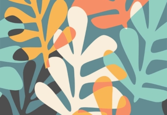 HATÁROK ÁRNYALATAI